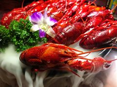 -红盔甲·小龙虾(天钥桥店)
