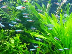 -上海海洋水族馆