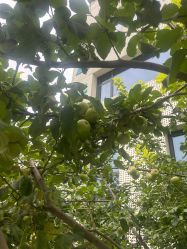 -北京科学中心儿童乐园