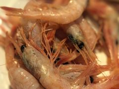 -九月海·海鲜自助(世纪东方店)