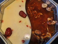 -新草堂锅物料理(泉城路店)