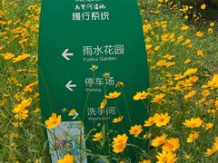 -尚贤河湿地