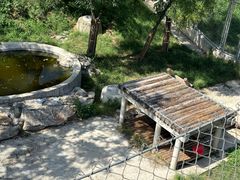 -石家庄市动物园