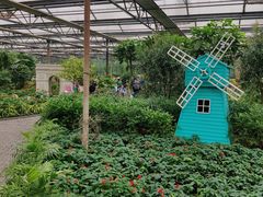 -南宫五洲植物乐园