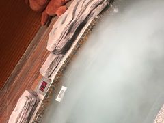 -嘉悦汗蒸时代(曙光路店)