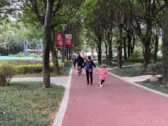 -光明港公园