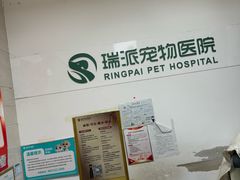 -瑞派天宁宠物医院·猫科·异宠中心