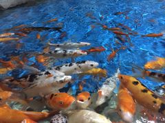 -石林冰雪海洋世界