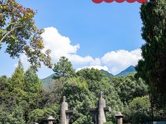 -大奇山国家森林公园