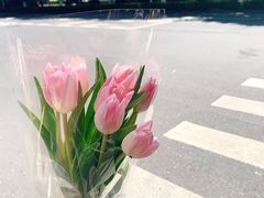 -良友花店(天目山路店)