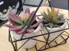 -兵立王鲜果茶·奶茶(大学路店)
