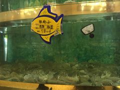 -辽宁大厦海鲜渔港