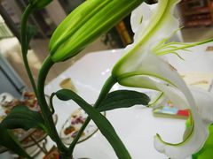 -星伦多 自助料理(圆融店)