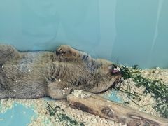 -FAIRYLAND龙族星球主题餐厅(凯丹广场店)