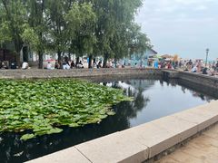 -青岛第二海水浴场