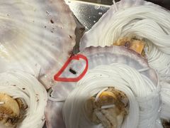 -钱小奴创意自助餐厅·原切谷饲安格斯畅吃(宁波慈溪爱琴海店)