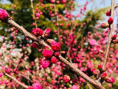 -大兴滨河森林公园