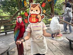 -海南槟榔谷黎苗文化旅游区