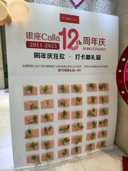 -银座Calla日式美容沙龙