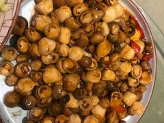 -梁溪河畔·吉府花园(南长街南下塘店)