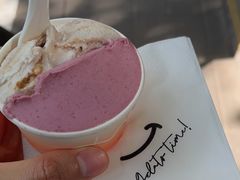 -Dip in Gelato(富民路店)