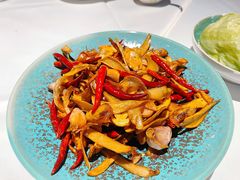 干椒牛肝菌（例）-沿途四季·云南菜(建外大街店)