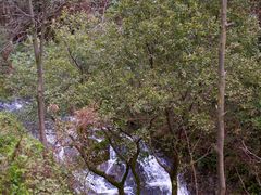 -秦岭风景区
