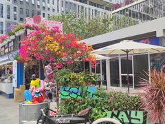 -深圳湾创业广场