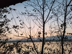 -杜甫江阁