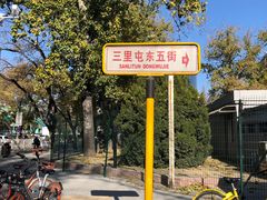 -三里屯东五街银杏大道