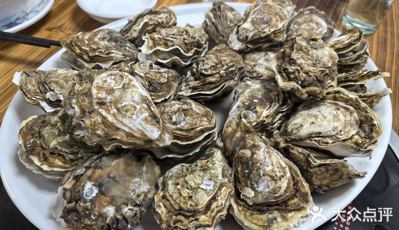 苏岗村里有肥嘟嘟的生蚝吃噢！