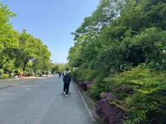 -无锡动物园·太湖欢乐园