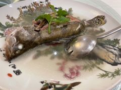 清蒸本湾桂鱼-壹零贰小馆(桂城石啃店)