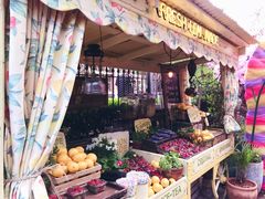 -The Grounds of Alexandria