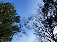 -大蜀山国家森林公园