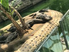 -石家庄市动物园