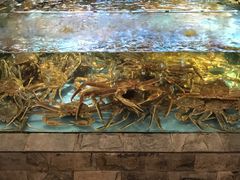 -蟹之国·精品蟹料理(极地店)