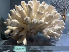 -天津自然博物馆
