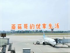 -石家庄正定国际机场-T2航站楼