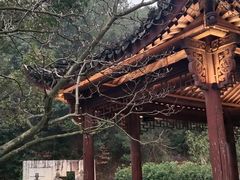 -清漾毛氏文化村