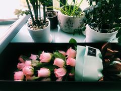 -Flower in(密渡桥店)