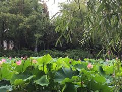 -月牙潭公园