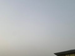 -山东农业大学(岱宗校区)