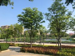 -青岛李沧绿城喜来登酒店·宴会厅