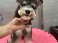 -宠福鑫康馨动物医院·骨科·眼科