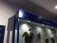 -福州罗源湾海洋世界旅游区