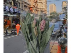 -溪岸路花鸟市场