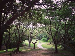iphone_upload_pic-东部华侨城