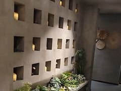 -施奈儿.洗头頭療.按摩SPA.采耳(上梅林店)