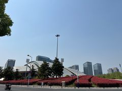 -合肥大剧院